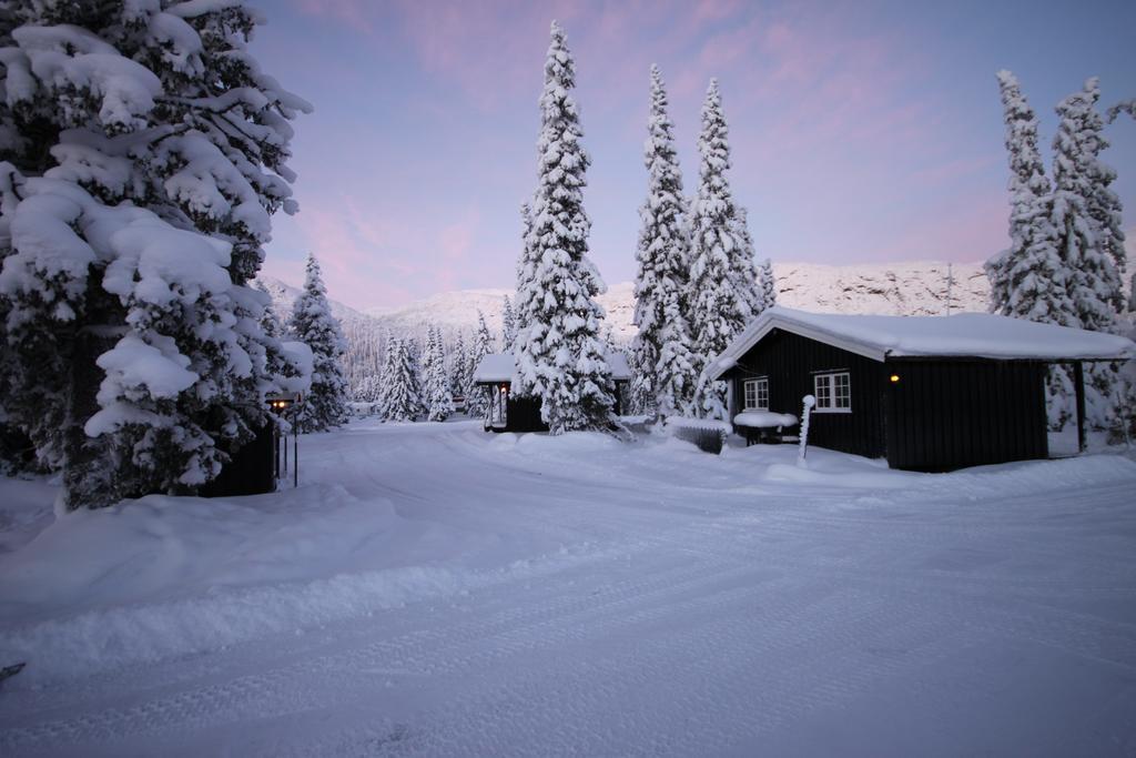 Haglebu Feriesenter Appartement Eggedal Buitenkant foto